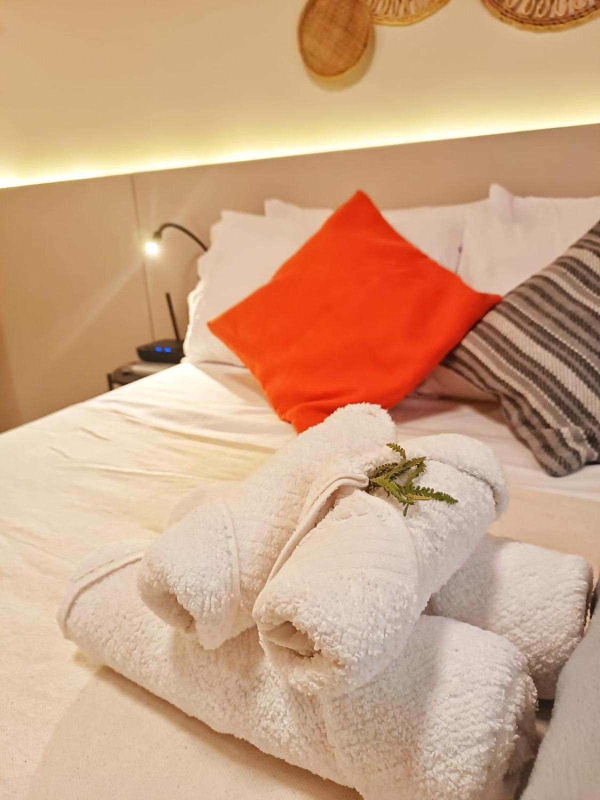 Apartamento Santanes Centro Rj